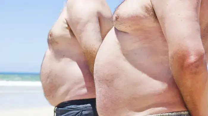 אילוסטרציה אילוסטרציה