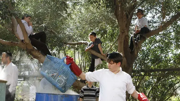 הגעלת כלים של עמותת חסדי נעמי מרץ 2010