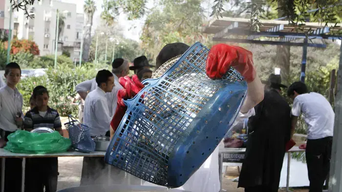 הגעלת כלים של עמותת חסדי נעמי מרץ 2010