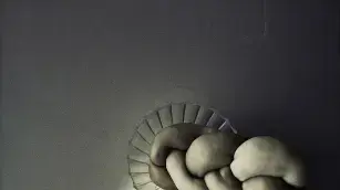 אנה שטיינשליגר, חלת ניילון; דביר אינטרטור