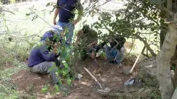 שודדי עתיקות  שנתפסו ליד בית שמש