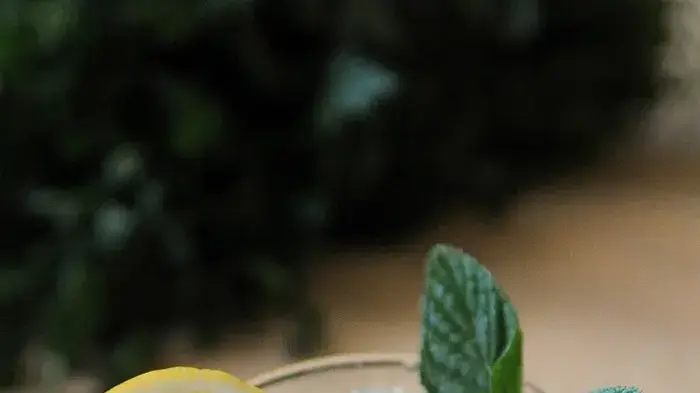 גרניטה סודה עם לימון ונענע