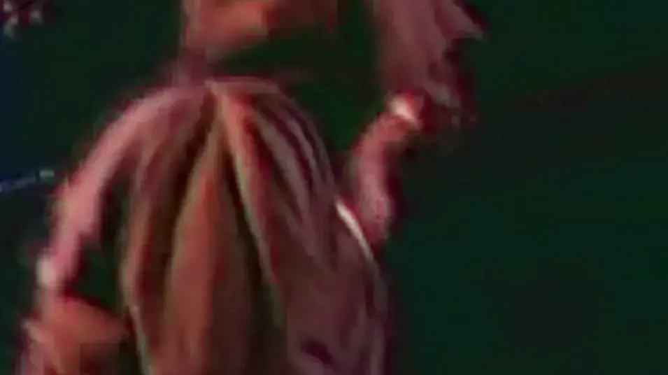 סיקרט צ'יפס מבצעים את The 4 בהופעה