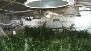 מעבדת הידרו לגידול סמים שנחשפה במושב גפן מעבדת הידרו לגידול סמים שנחשפה במושב גפן