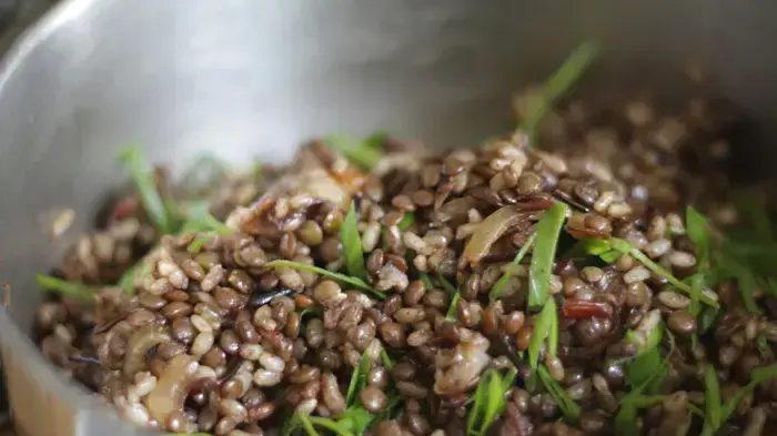 מג'דרה מג'דרה
