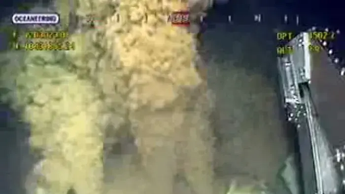 דליפת הנפט במפרץ מקסיקו (צילום מסך)