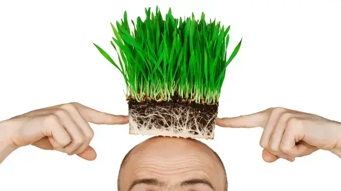 אילוסטרציה אילוסטרציה
