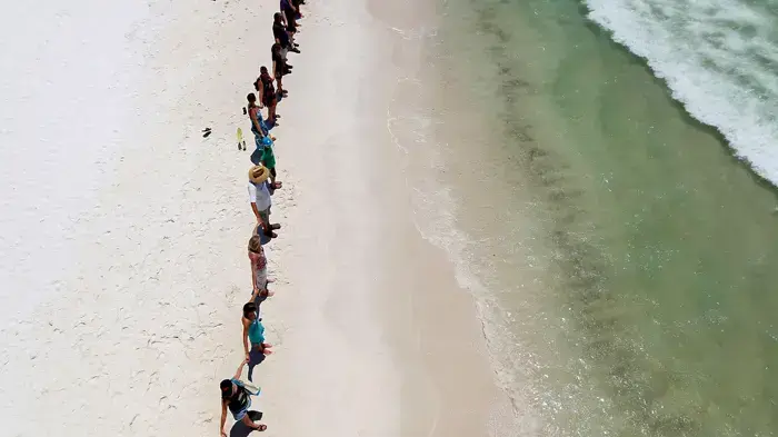 זיהום במפרץ מקסיקו 