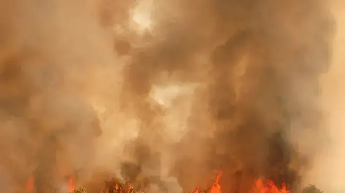 שריפות בבית שמש יוני 2010
