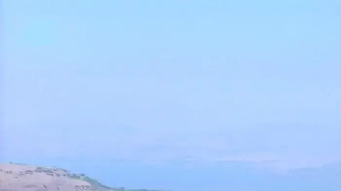 שמורת גמלא מתחילה להשתקם