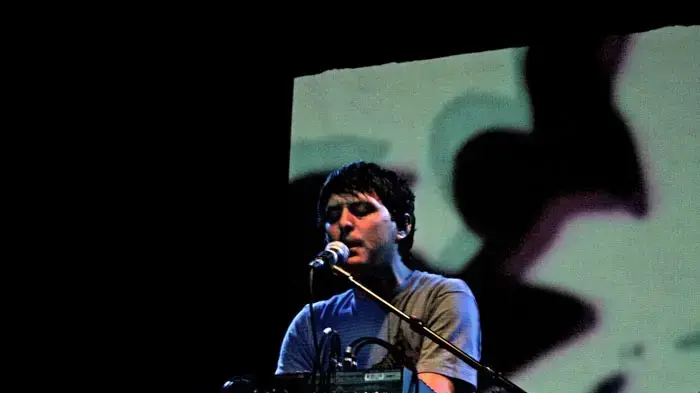 panda bear