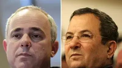 ברק ושטייניץ
