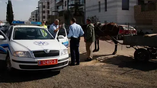 משטרת בעלי החיים של כפר סבא משטרת בעלי החיים של כפר סבא