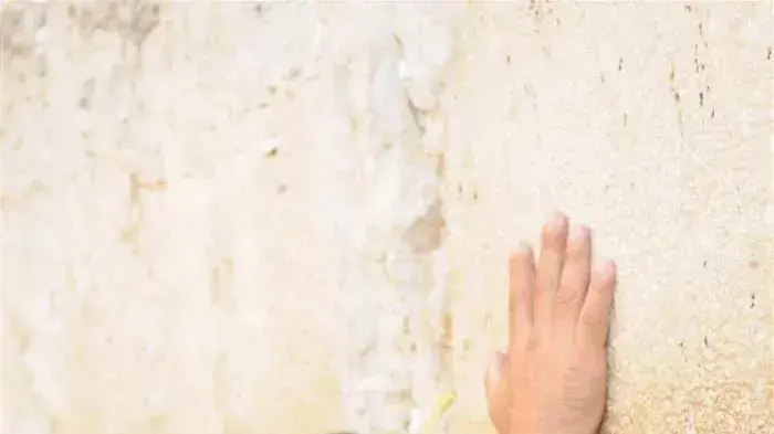 תפילות ט' באב בכותל המערבי