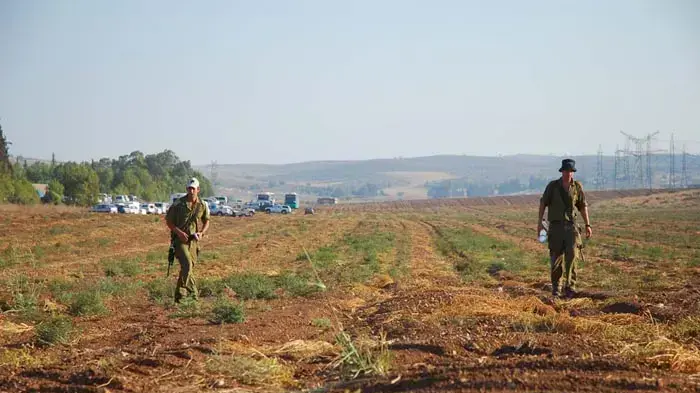 חיפושים אחרי החייל הנעדר ביער חרובית חיפושים אחרי החייל הנעדר ביער חרובית