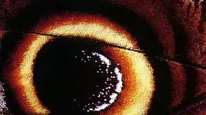 עטיפת האלבום "A Passage of Time" של Dead Can Dance עטיפת האלבום "A Passage of Time" של Dead Can Dance