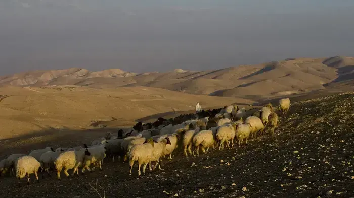 מדבר יהודה