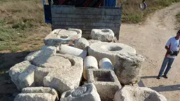 עשרות עתיקות מוברחות לבעלי גינות