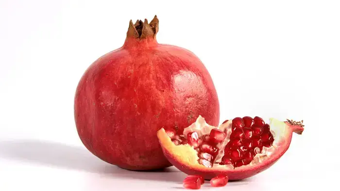 אילוסטרציה אילוסטרציה