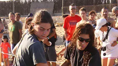 שחרור צבי ים חזרה אל הטבע שחרור צבי ים חזרה אל הטבע