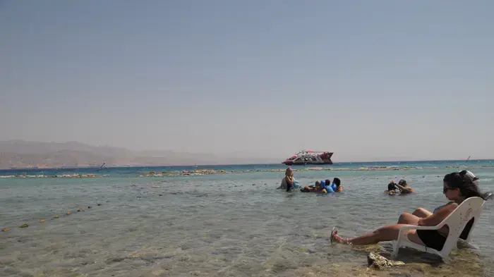 תופעת שפל שיא בשונית האלמוגים באילת