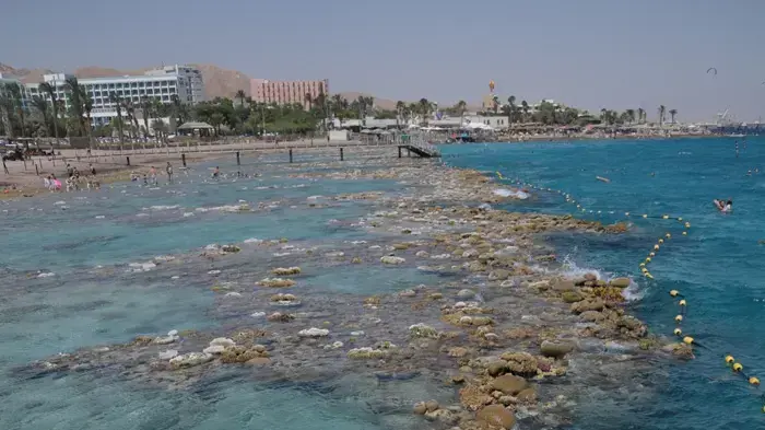 תופעת שפל שיא בשונית האלמוגים באילת