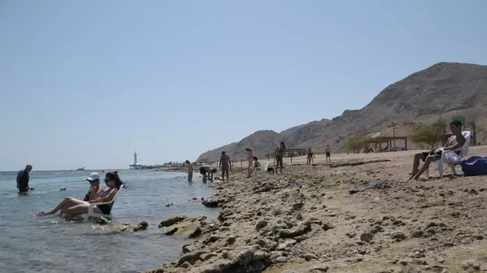 תופעת שפל שיא בשונית האלמוגים באילת