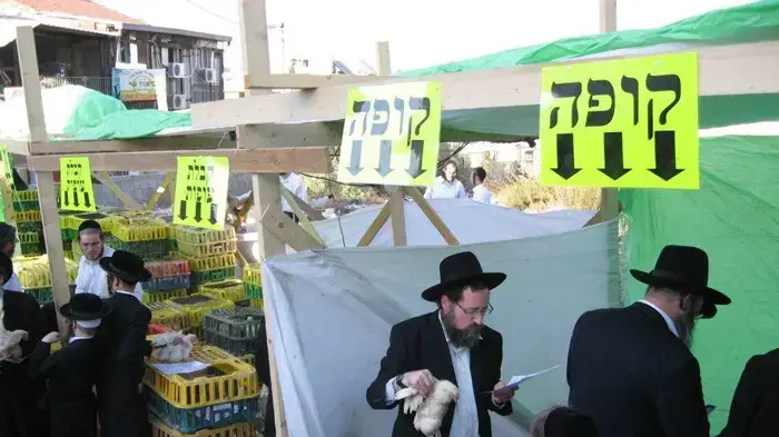 חרדים מתכוננים ליום הכיפורים
