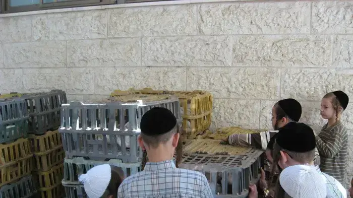 חרדים מתכוננים ליום הכיפורים