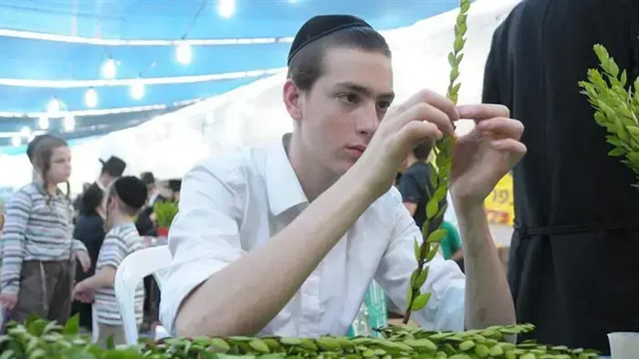 שוק ארבעת המינים בירושלים ספטמבר 2010