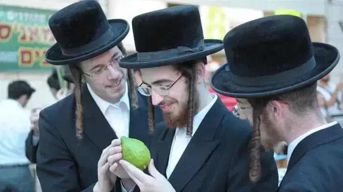 שוק ארבעת המינים בירושלים ספטמבר 2010
