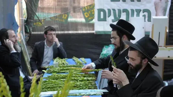 שוק ארבעת המינים בירושלים ספטמבר 2010