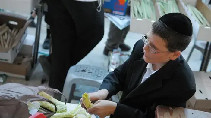שוק ארבעת המינים בירושלים ספטמבר 2010
