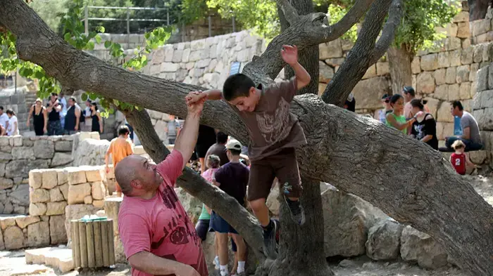 מטיילים בסטף שבהרי ירושלים, סוכות 2010