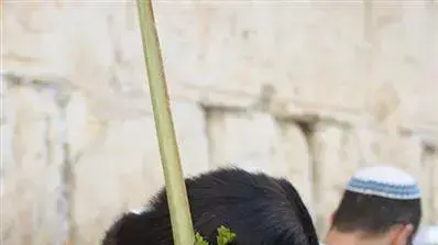 ברכת הכהנים ברחבת הכותל המערבי, ספטמבר 2010           
