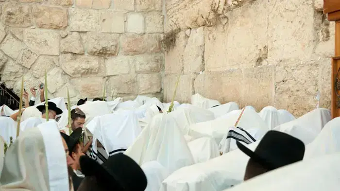 ברכת הכהנים ברחבת הכותל המערבי, ספטמבר 2010                 