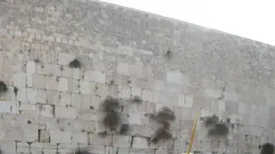 ברכת הכהנים ברחבת הכותל המערבי, ספטמבר 2010             