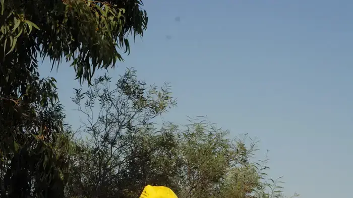 צביקי בר חי ראש מועצת דרום הר חברון צביקי בר חי ראש מועצת דרום הר חברון