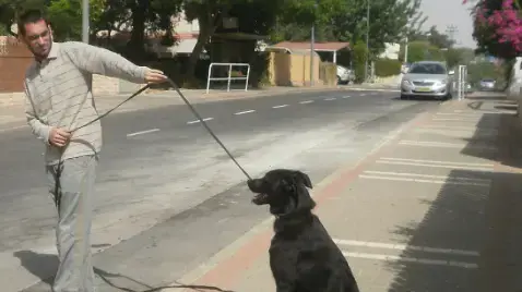 המאלף שי מולדובן המאלף שי מולדובן