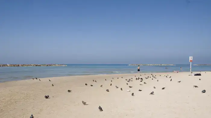 חוף הים, אוקטובר 2010