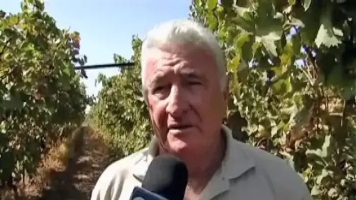 העגבניה לא לבד: גם מגדלי הפירות סובלים מהחום