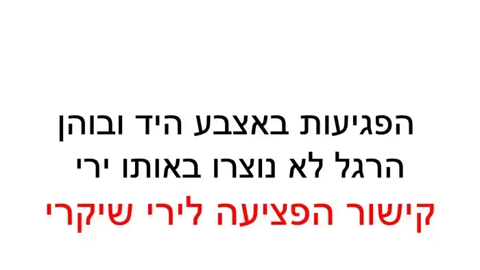 תחקיר ניעלין חלק ב'