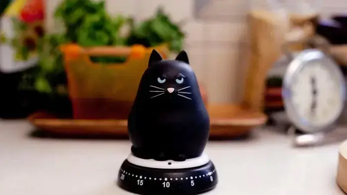 טיימר חתול טיימר חתול