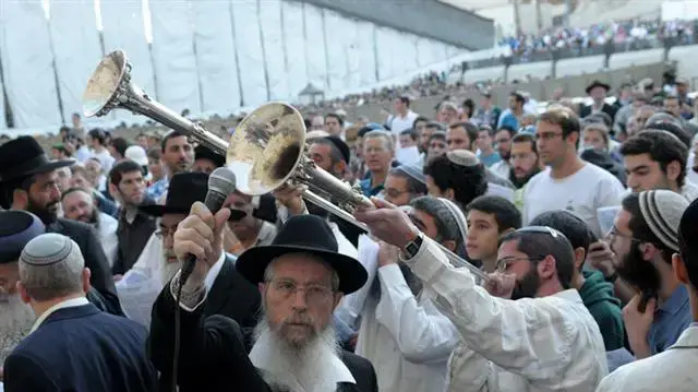 תפילה המונית למען הגשם בכותל, נובמבר 2010                     