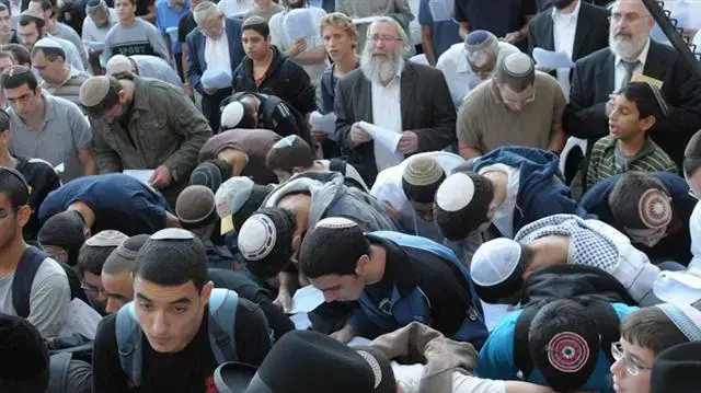 תפילה המונית למען הגשם בכותל, נובמבר 2010                     