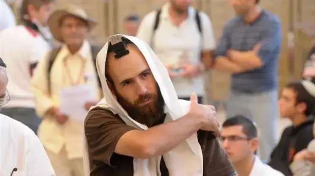 תפילה המונית למען הגשם בכותל, נובמבר 2010                   