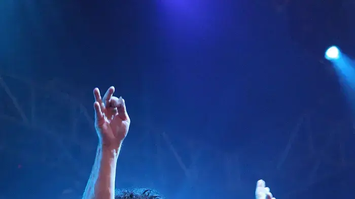 FOALS FOALS