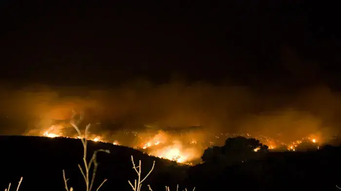 שריפת ענק בכרמל, דצמבר 2010 שריפת ענק בכרמל, דצמבר 2010