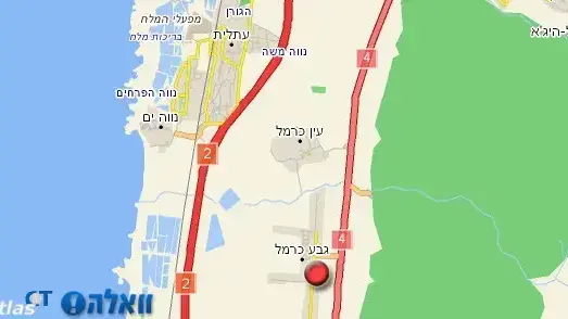 גבע כרמל גבע כרמל