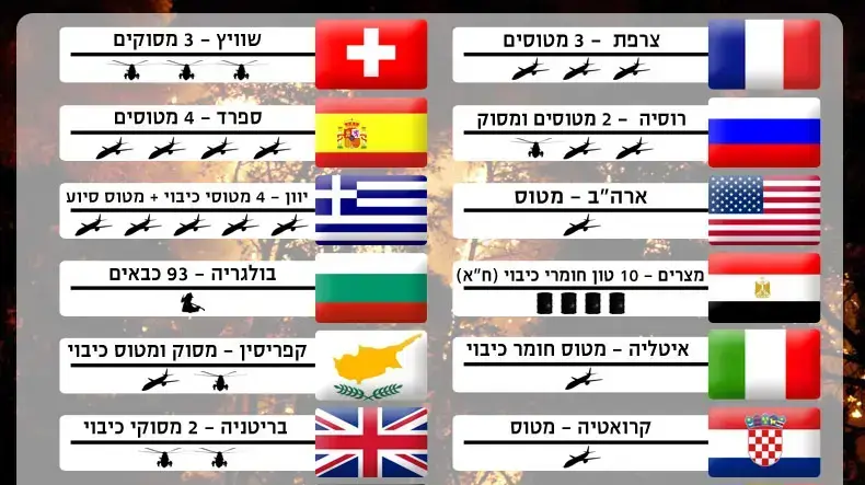 תמיכת המדינות תמיכת המדינות
